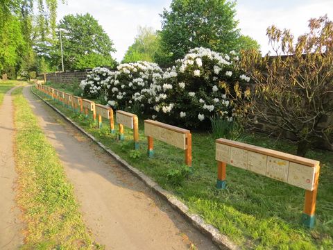Gedenkstätte der 225 Kinder von Zwangsarbeiterinnen auf dem St.-Pauli-Friedhof Dresden